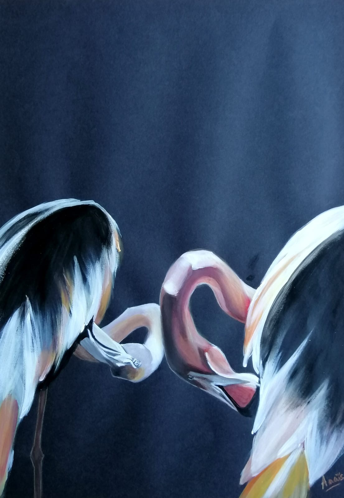 Détail du cou courbé en forme de boucle d’un des flamants / Close-up of the curved, looping neck of one flamingo