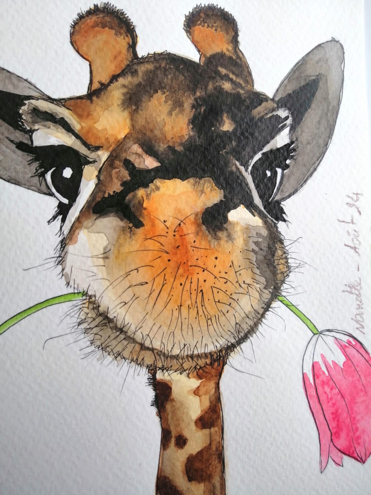 Hello — gros plan du museau de la girafe, aquarelle par Anaïs Eck