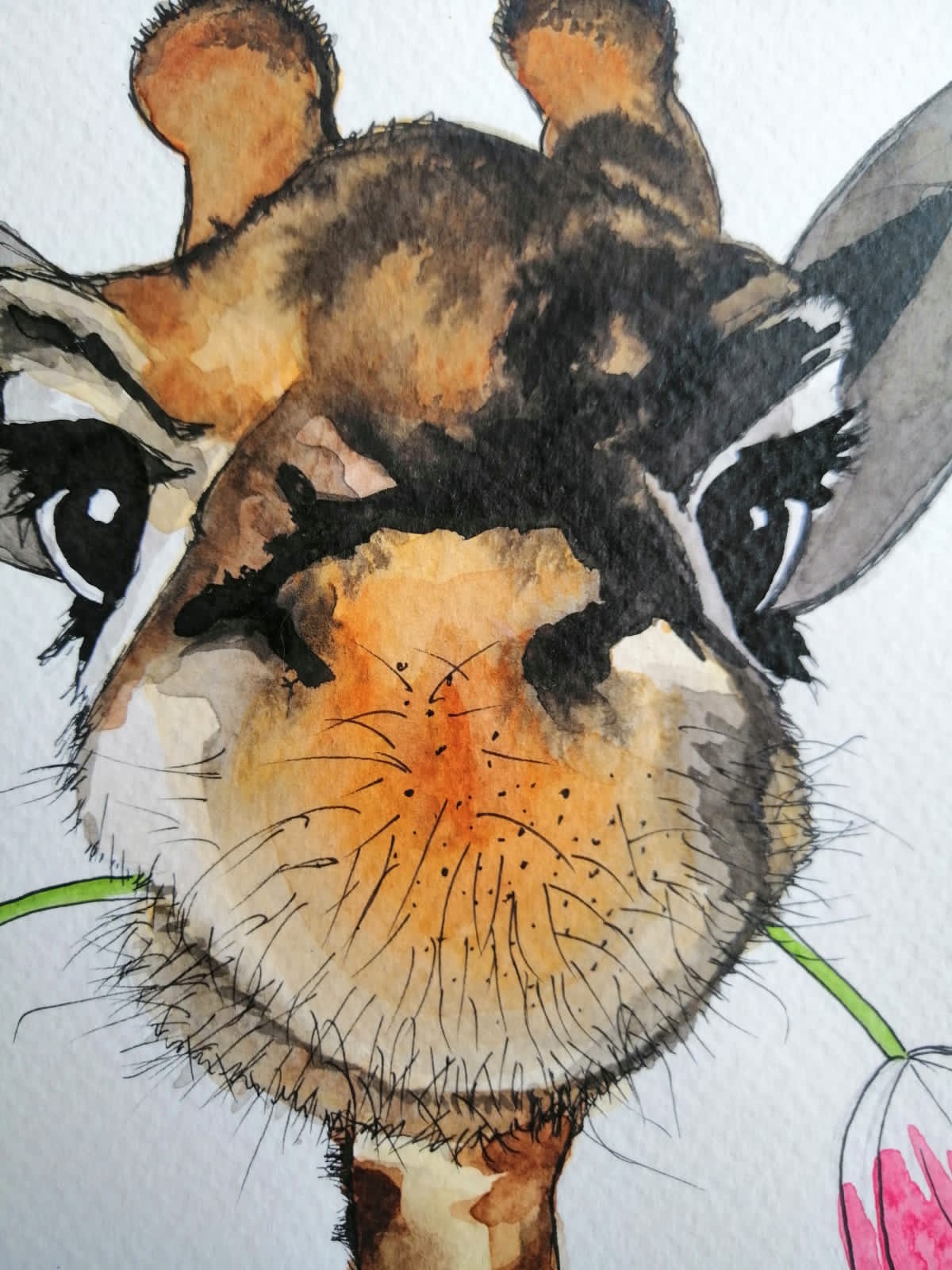 Hello — détail des yeux expressifs de la girafe, Anaïs Eck