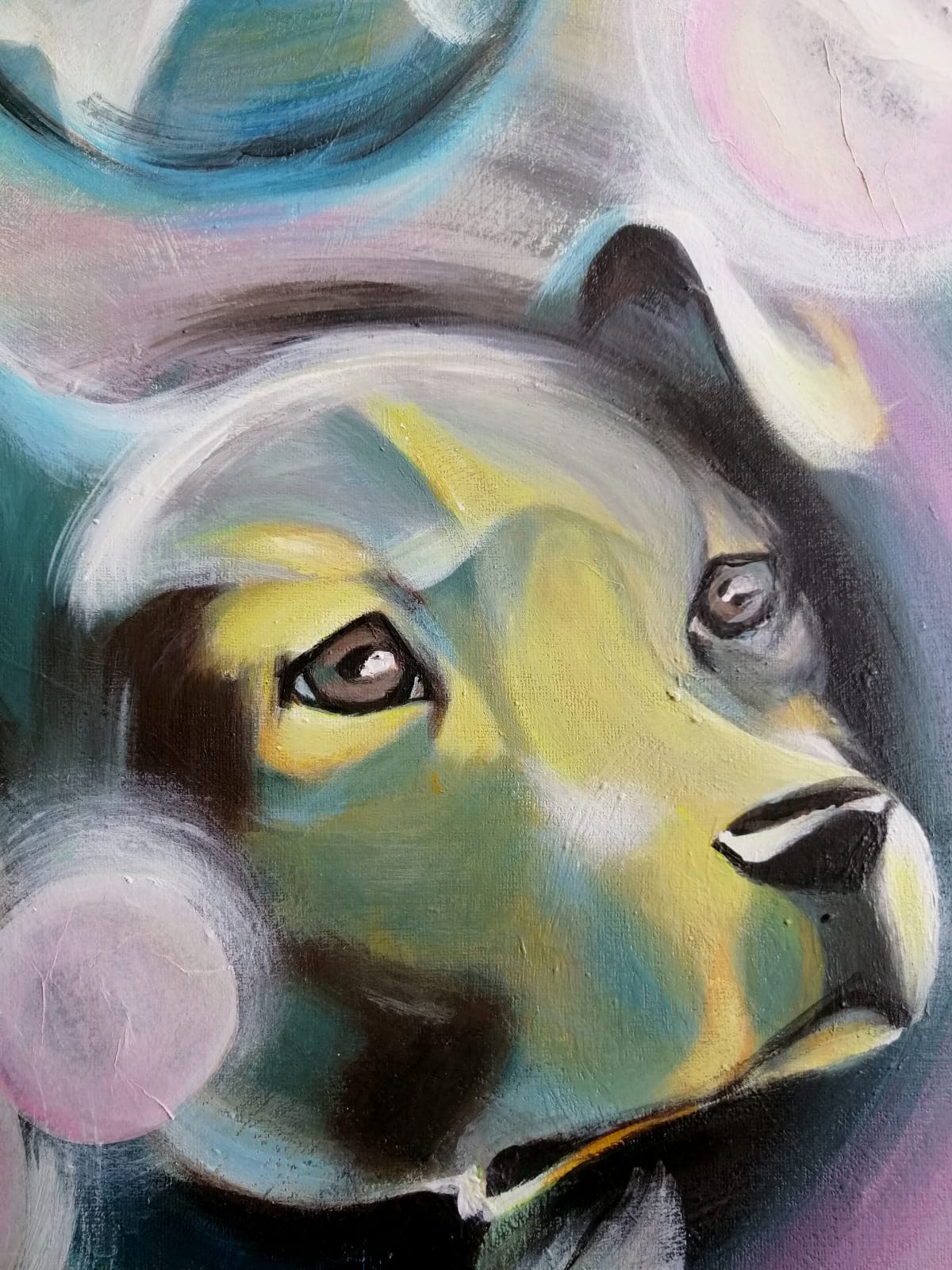 Détail de Leika — gros plan sur le regard du chien et les reflets colorés / Detail of 'Leika' — close-up on the dog’s gaze and colorful reflections