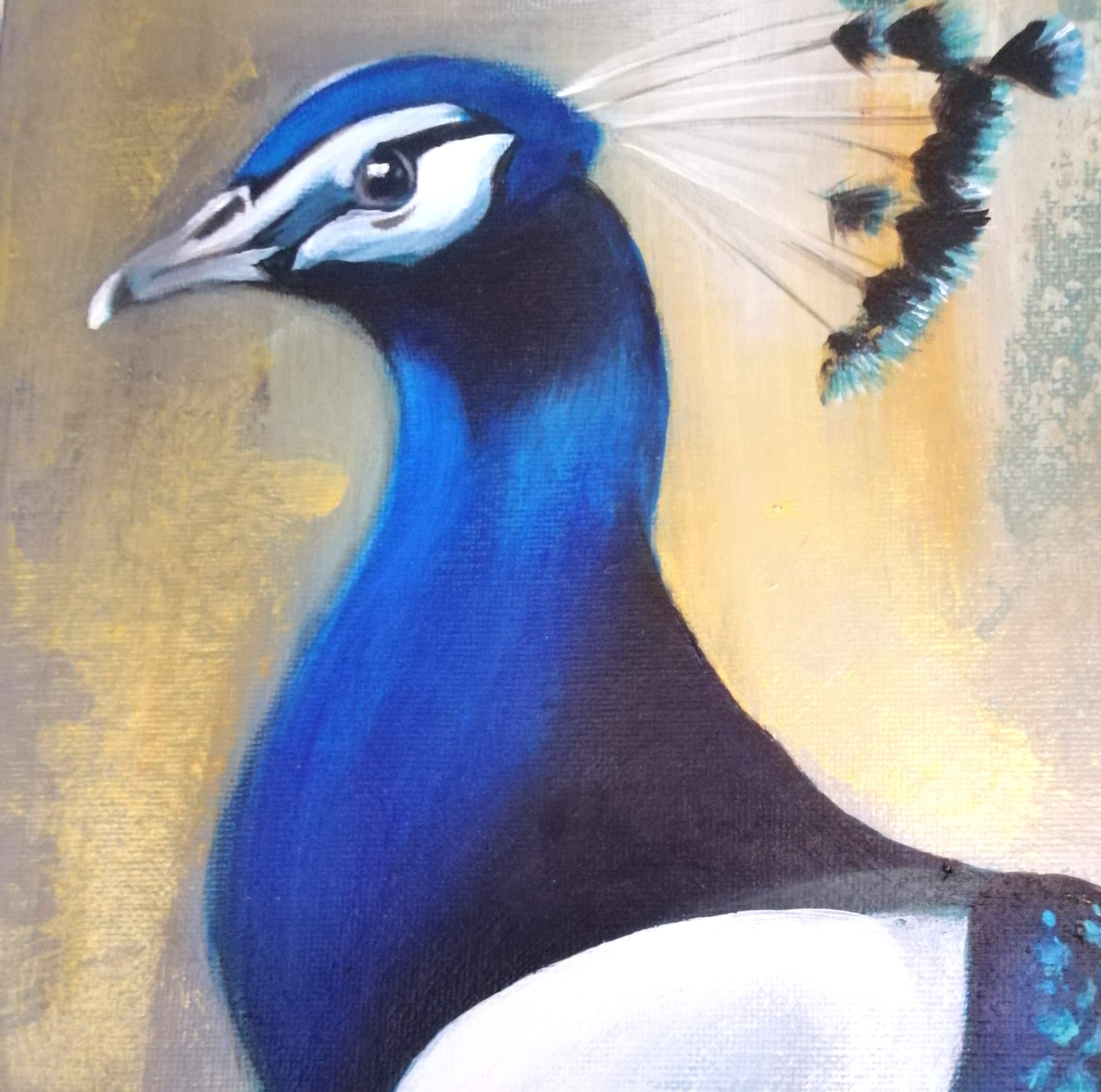 Détail de Plume, plumage irisé bleu et vert. / Detail of Plume, iridescent blue-green feathers.