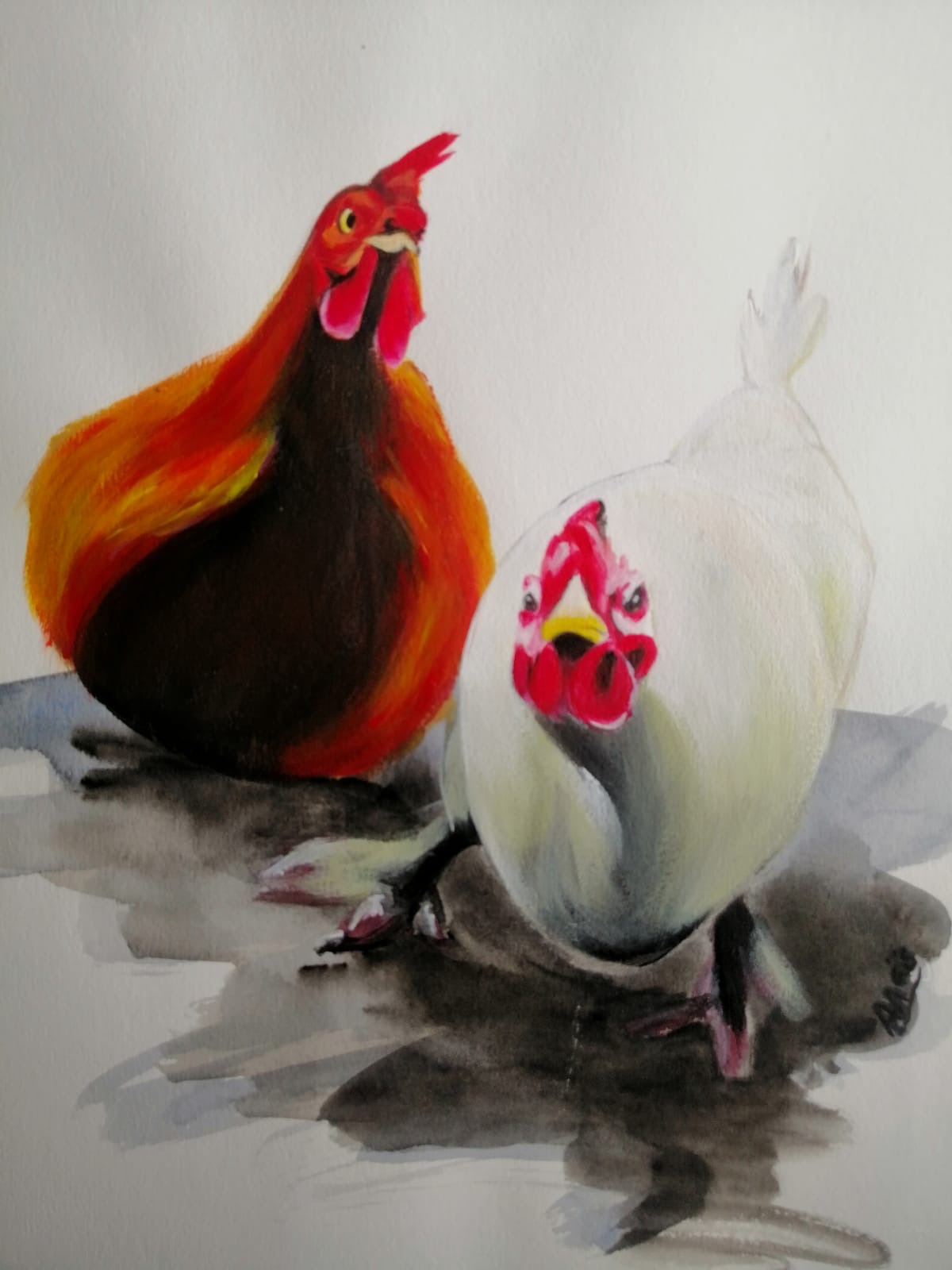 Gang de poules encadré et présenté au mur / Framed artwork Gang de poules hanging on a wall