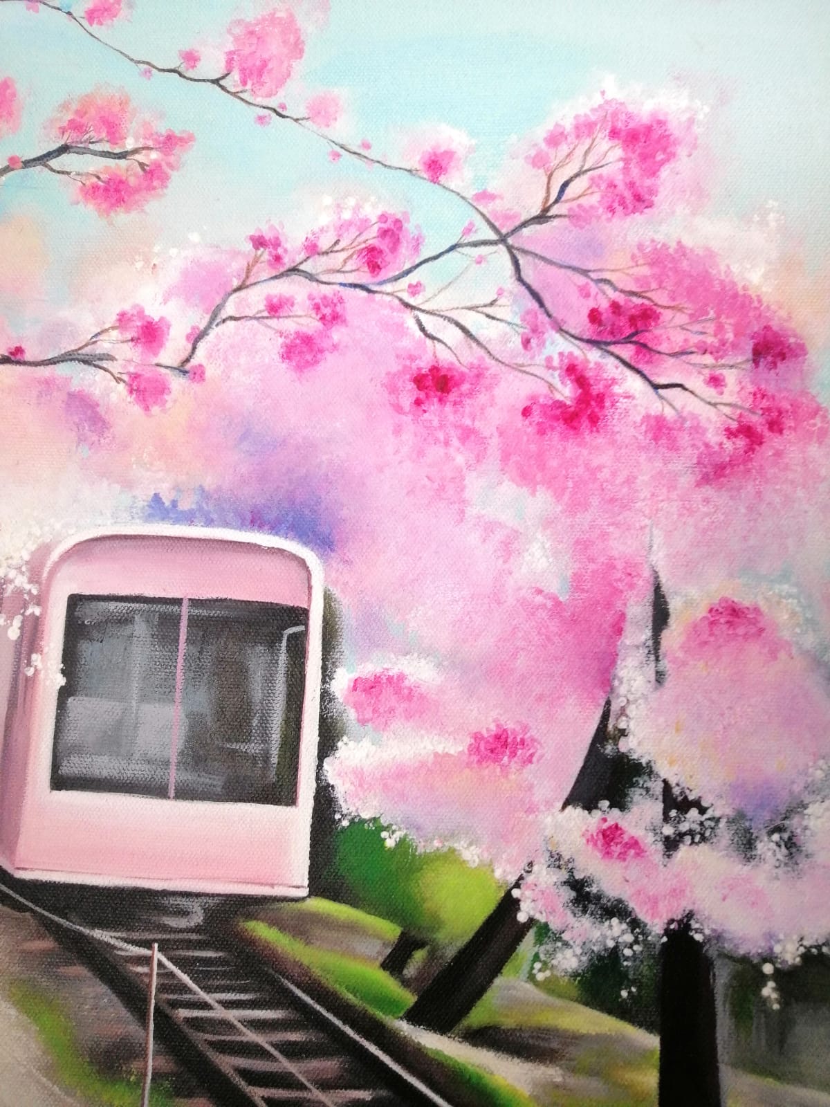 Détail du train sous les fleurs de cerisier / Detail of train under cherry blossoms